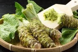 SE: Japanese Fresh Wasabi