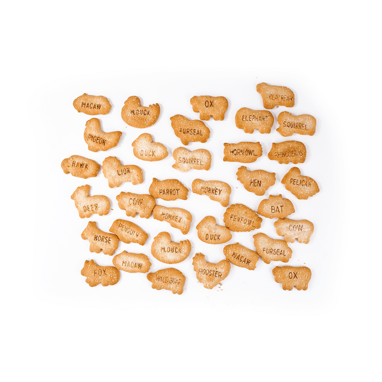 ギンビス アニマルココナッツ味ビスケット(50G)