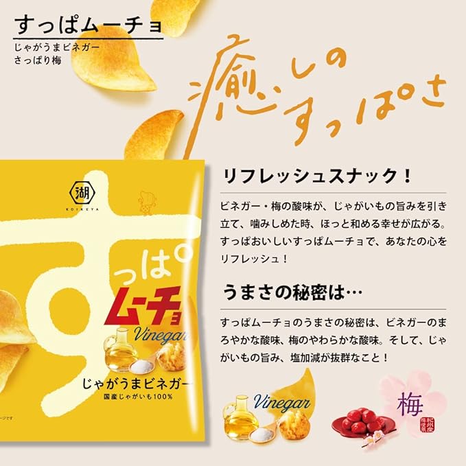 湖池屋 すっぱムーチョポテトチップス ビネガー味(55G)