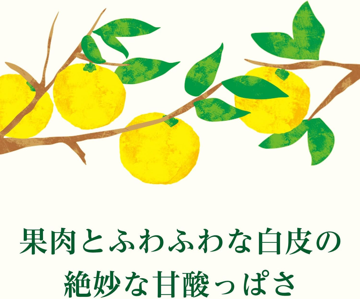 Itoen Nippon Ale Miyazaki Hyuga Natsu Citrus Juice (500G)