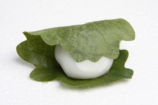 FZN: Aratama Kashiwa Mochi (210G)