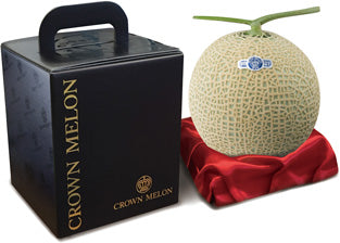Melon couronne japonais