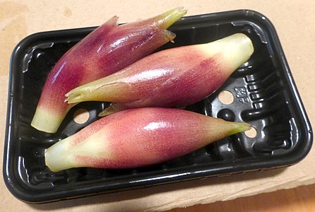 SE : Gingembre Myoga japonais (3 pièces)
