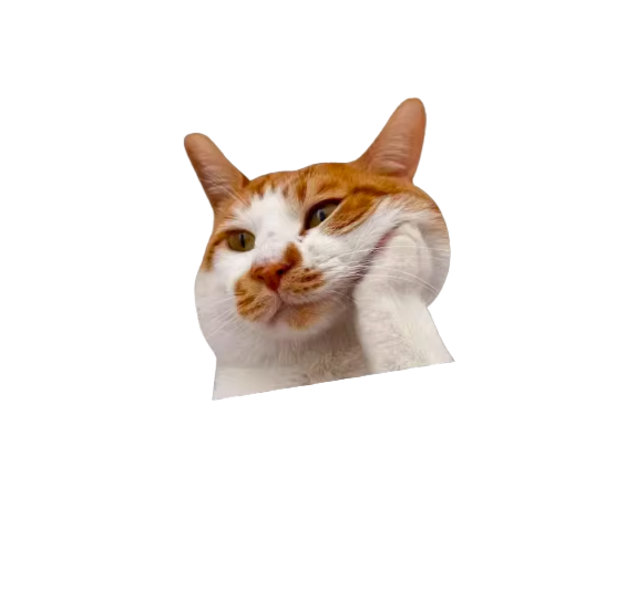 Cat Meme Vinyl Sticker (1 Piece)