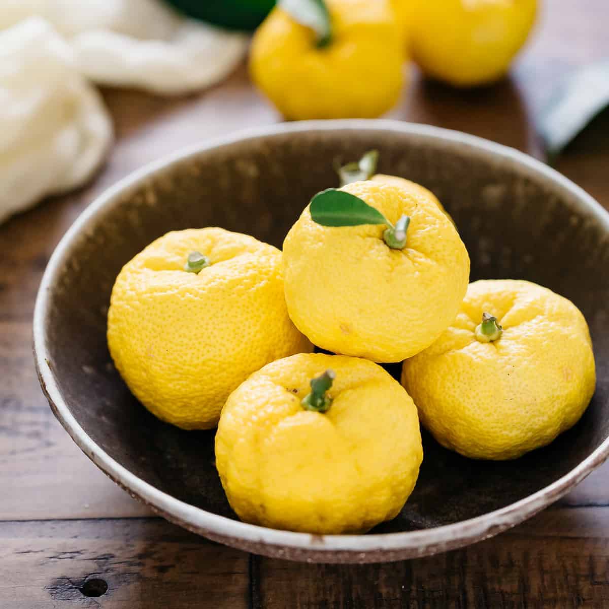 SE : Fruit Yuzu japonais
