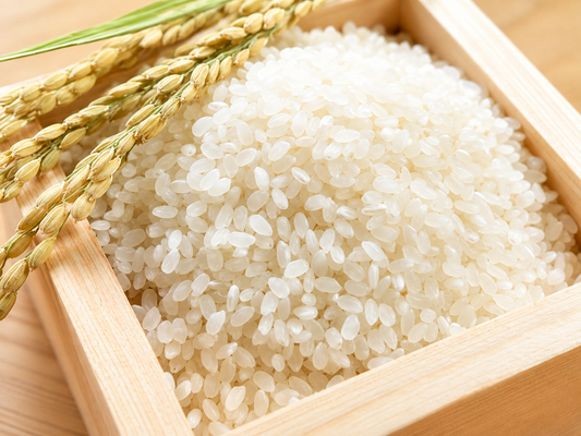 Japanese Rice