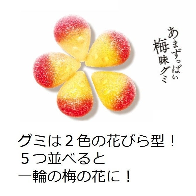 Lotte Koume Ume Plum Gummy (49G) [Best Before Date: 2026.12