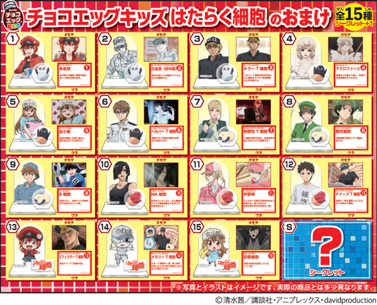 Furuta Cells at Work Surprise Choco Egg (20G)