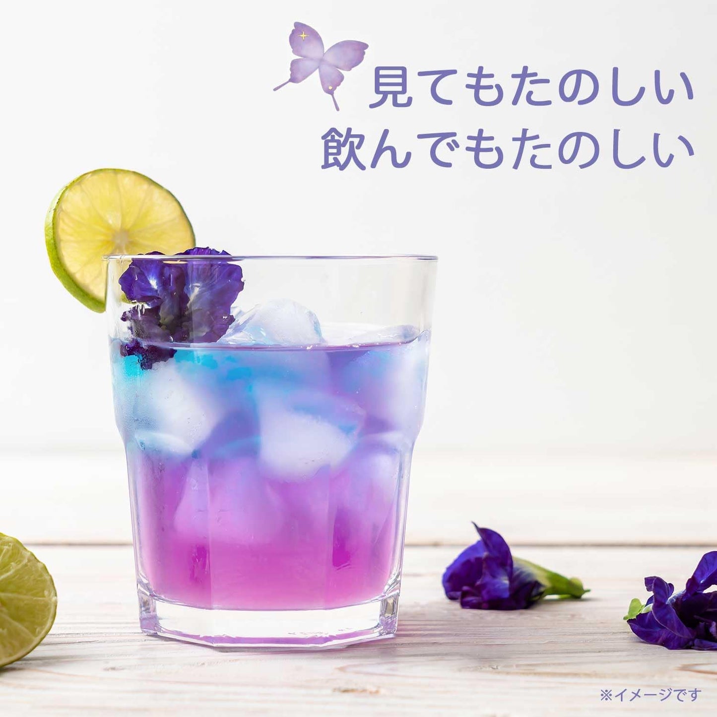 Itoen Butterfly Pea Tea (500ML)