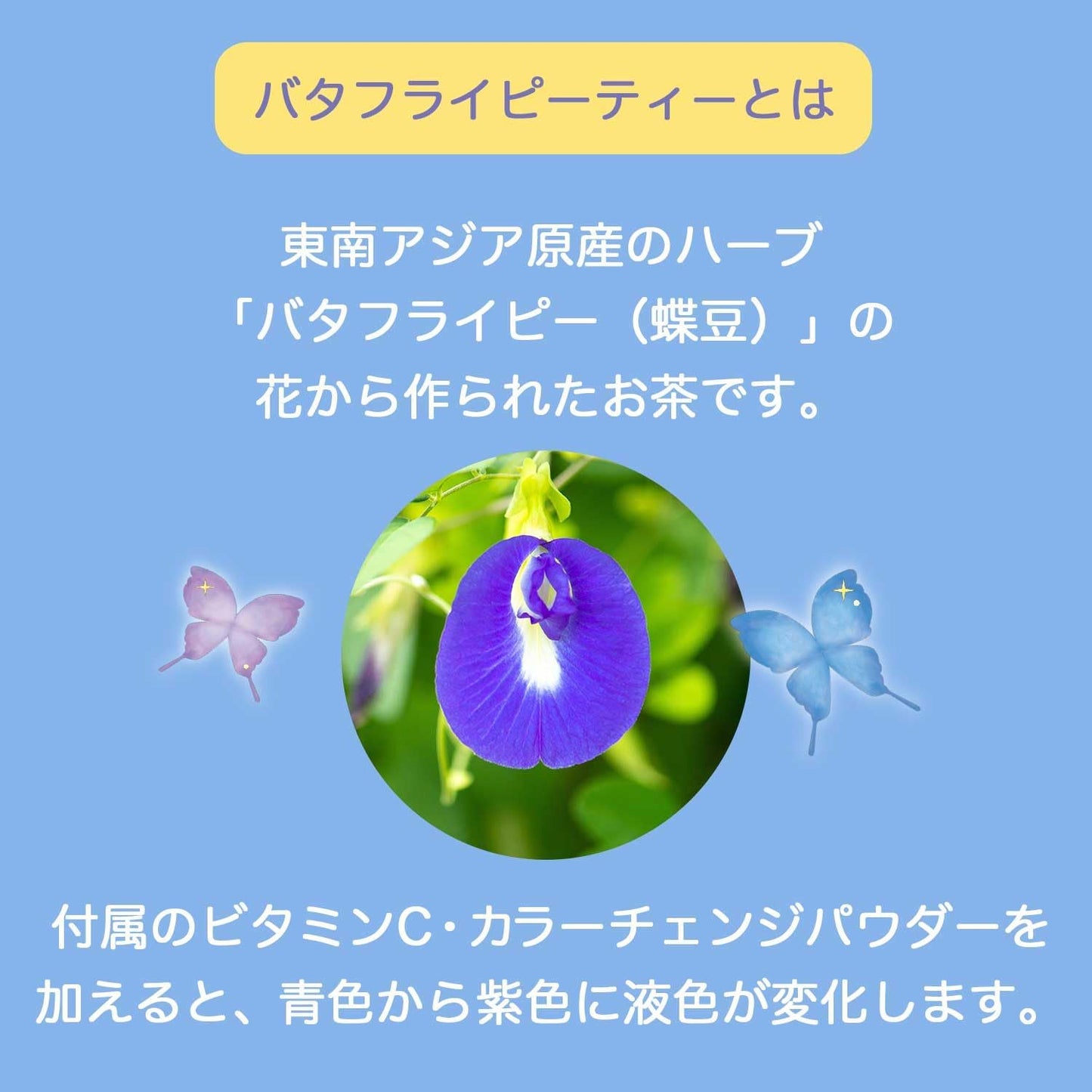 Itoen Butterfly Pea Tea (500ML)