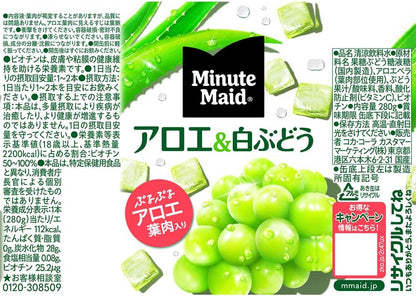 Coca Cola Minute Maid Aloe et Raisin Blanc (280 ml)