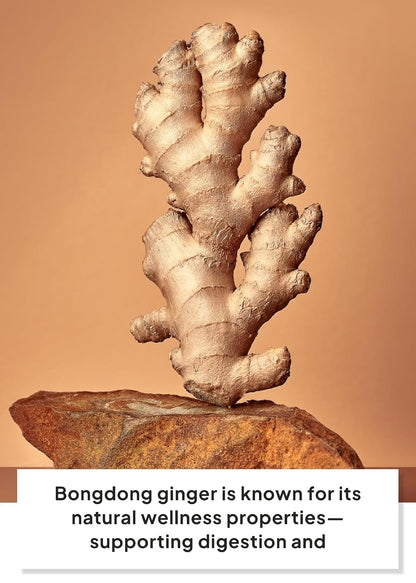 A natural bongdong ginger root with a rough, branching texture displayed on a brown stone against a warm beige background, with a text banner at the bottom describing its wellness properties.