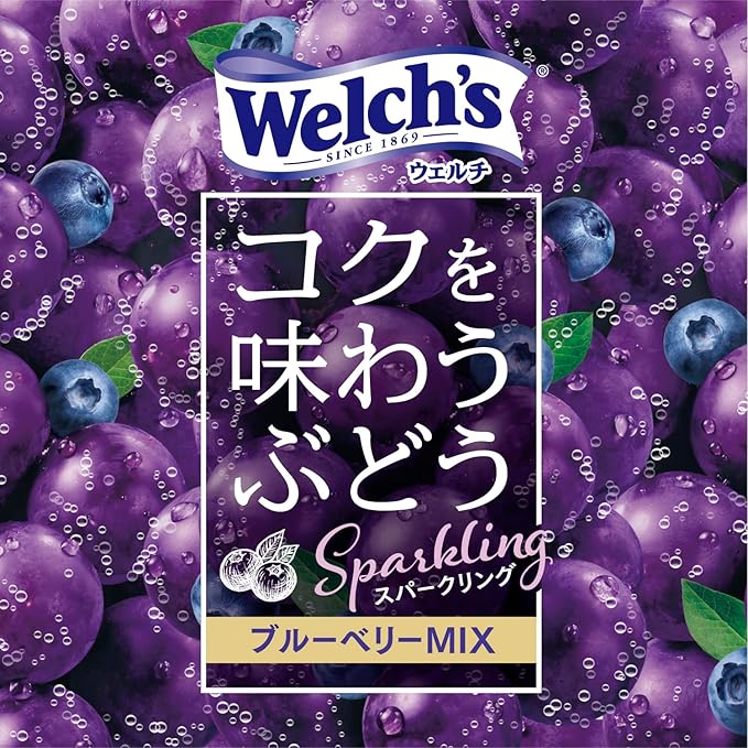 Asahi Welch's Rich Sparkling Grape (450ML)