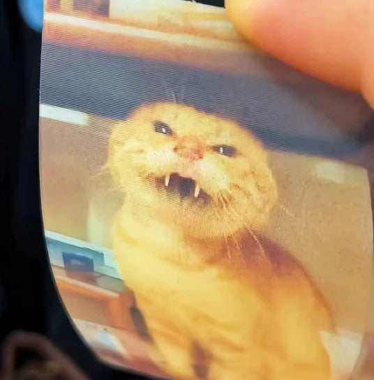 "I want to kill you" Cat Lenticular Card