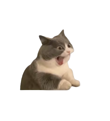 Cat Meme Vinyl Sticker (1 Piece)