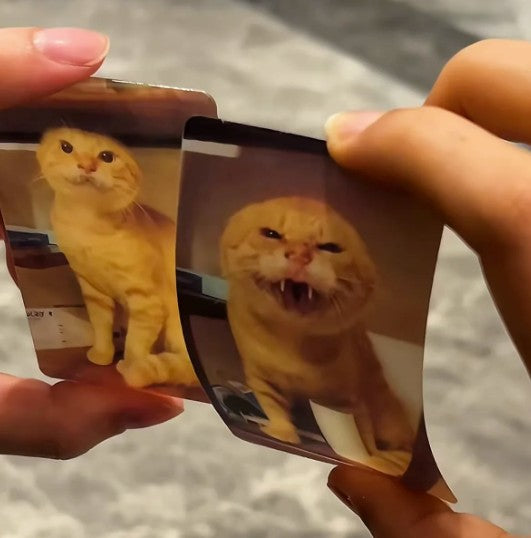 "I want to kill you" Cat Lenticular Card